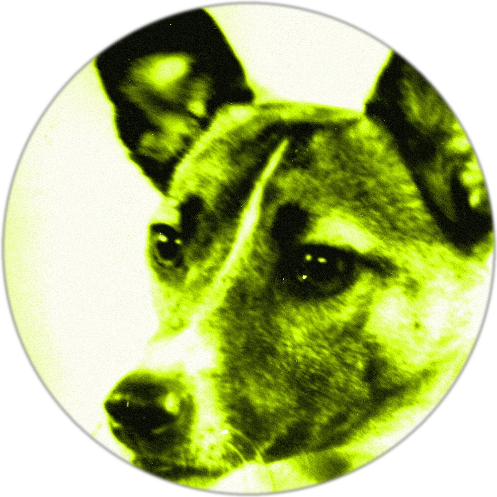Laika — the first dog in space, duotone portrait